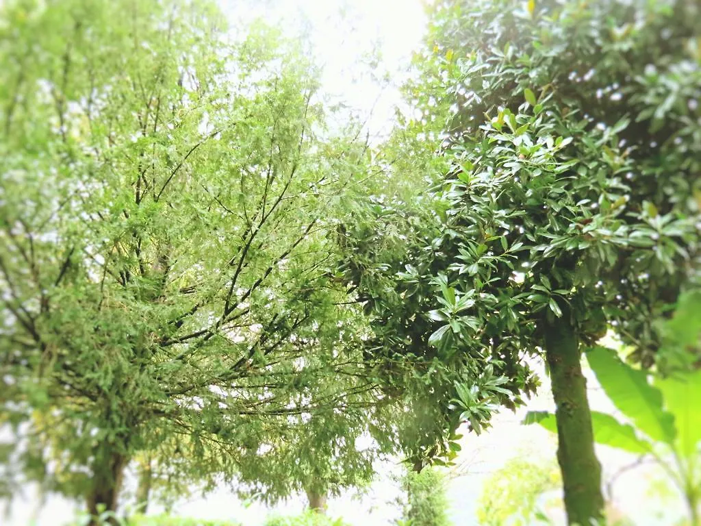 Agriturismo Cascina Nuova Cremona 0*,
